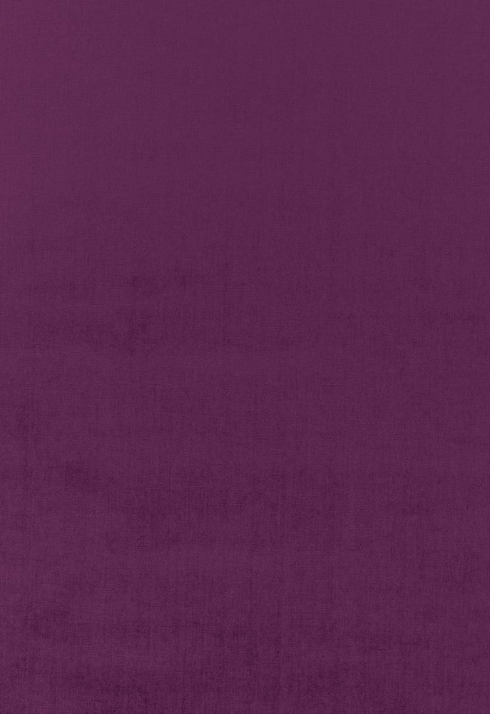 Sophia Velvet Parma 68171 by Schumacher Fabric Sophia-Velvet 61% Cotton, 39% Modal Wyzenbeek 20,000 Horizontal: - and Vertical: - 55 - Fabric Carolina -