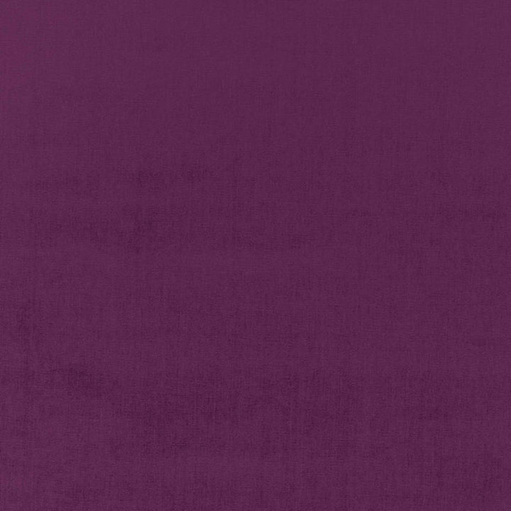 Sophia Velvet Parma 68171 by Schumacher Fabric SOPHIA VELVET COTTON 61% MODAL VISCOSE 39% NETHERLANDS WYZENBEEK 20,000 </p><p>Repeat: Horizontal: and Vertical: 55 - Fabric Carolina -