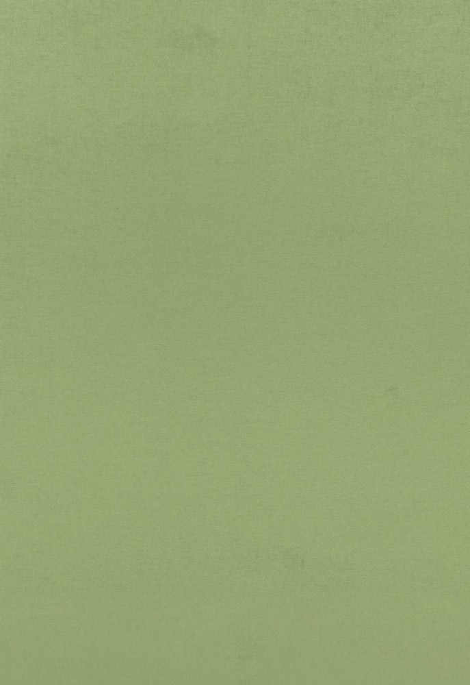 Sophia Velvet Willow 68193 by Schumacher Fabric Sophia-Velvet 61% Cotton, 39% Modal Wyzenbeek 20,000 Horizontal: - and Vertical: - 55 - Fabric Carolina -