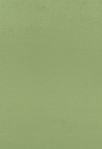 Sophia Velvet Willow 68193 by Schumacher Fabric