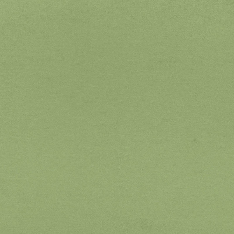 Sophia Velvet Willow 68193 by Schumacher Fabric SOPHIA VELVET COTTON 61% MODAL VISCOSE 39% NETHERLANDS WYZENBEEK 20,000 </p><p>Repeat: Horizontal: and Vertical: 55 - Fabric Carolina -