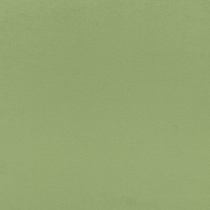 Sophia Velvet Willow 68193 by Schumacher Fabric SOPHIA VELVET COTTON 61% MODAL VISCOSE 39% NETHERLANDS WYZENBEEK 20,000 </p><p>Repeat: Horizontal: and Vertical: 55 - Fabric Carolina -