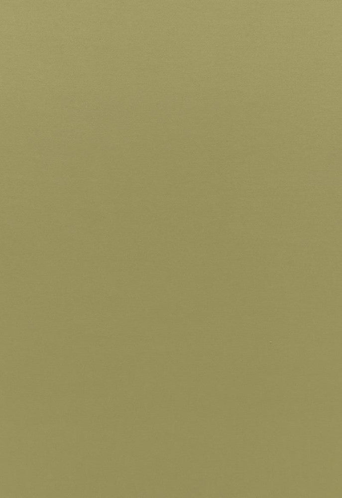Sophia Velvet Olivine 68194 by Schumacher Fabric Sophia-Velvet 61% Cotton, 39% Modal Wyzenbeek 20,000 Horizontal: - and Vertical: - 55 - Fabric Carolina -