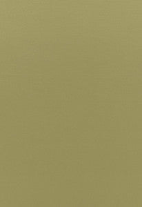 Sophia Velvet Olivine 68194 by Schumacher Fabric