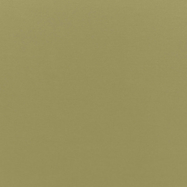 Sophia Velvet Olivine 68194 by Schumacher Fabric SOPHIA VELVET COTTON 61% MODAL VISCOSE 39% NETHERLANDS WYZENBEEK 20,000 </p><p>Repeat: Horizontal: and Vertical: 55 - Fabric Carolina -