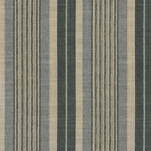 Long Hill Stripe Charcoal 682092 by Waverly Fabric