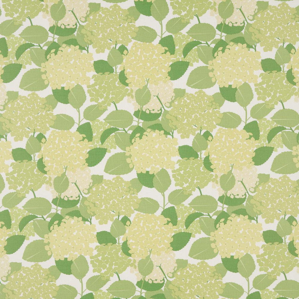 Hydrangea Green 177584 by Schumacher Fabric Full Bloom 14.0" - Fabric Carolina -
