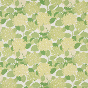 Hydrangea Green 177584 by Schumacher Fabric