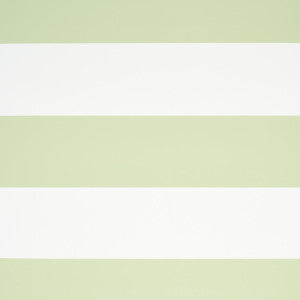 Baxter Stripe Green 5008525 by Schumacher Wallpaper