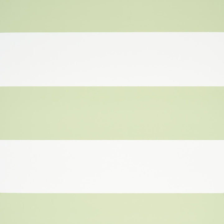 Baxter Stripe Green 5008525 by Schumacher Wallpaper Full Bloom - Fabric Carolina -