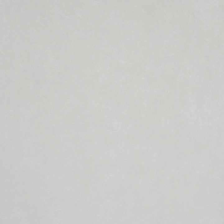 Villa Texture Grey 5009933 by Schumacher Wallpaper Miles Redd 27.0" - Fabric Carolina -
