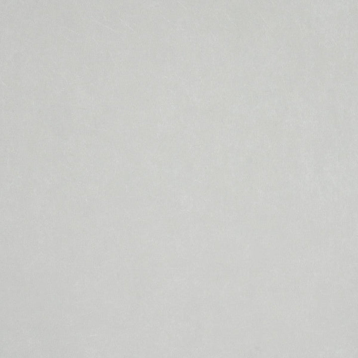 Villa Texture Grey 5009933 by Schumacher Designer Wallpaper Miles Redd 27.0" - Swanky Fabrics -