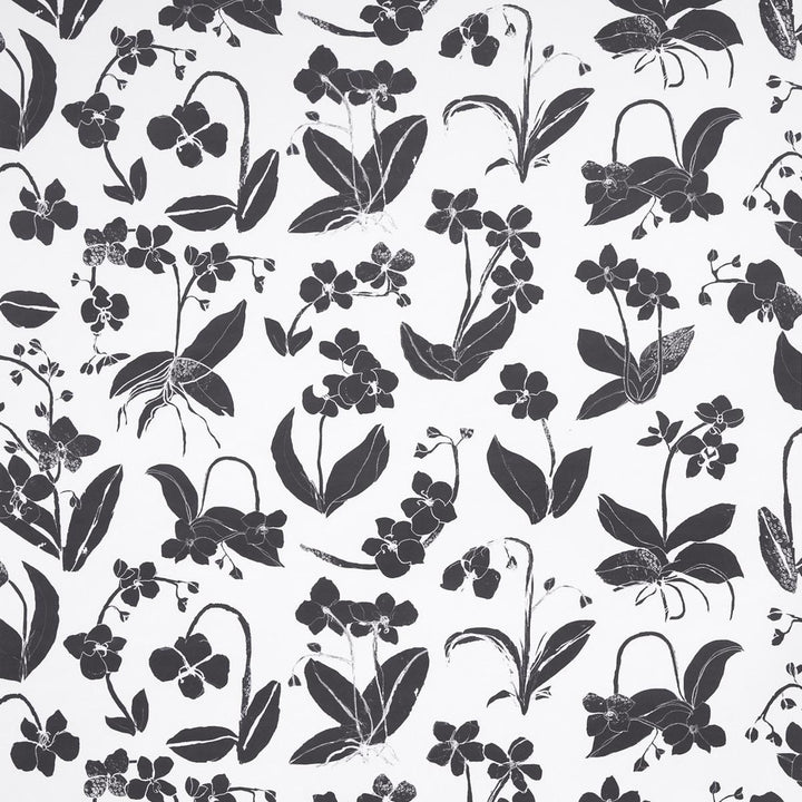 Orchids Have Dreams Soft Black 5014100 by Schumacher Wallpaper Hera Ford 18.0" - Fabric Carolina -
