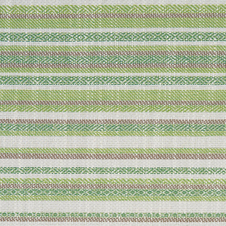 Dylan Indoor/Outdoor Green 81050 by Schumacher Designer Fabric Full Bloom - Swanky Fabrics -