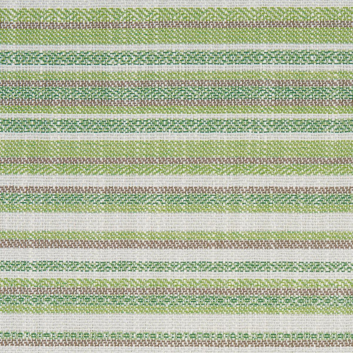 Dylan Indoor/Outdoor Green 81050 by Schumacher Fabric Full Bloom - Fabric Carolina -