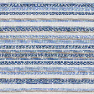 Dylan Indoor/Outdoor Blue 81051 by Schumacher Fabric