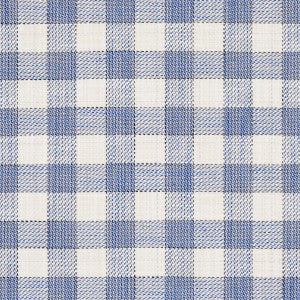 Martina Plaid Indoor/Outdoor Navy 81410 by Schumacher Fabric