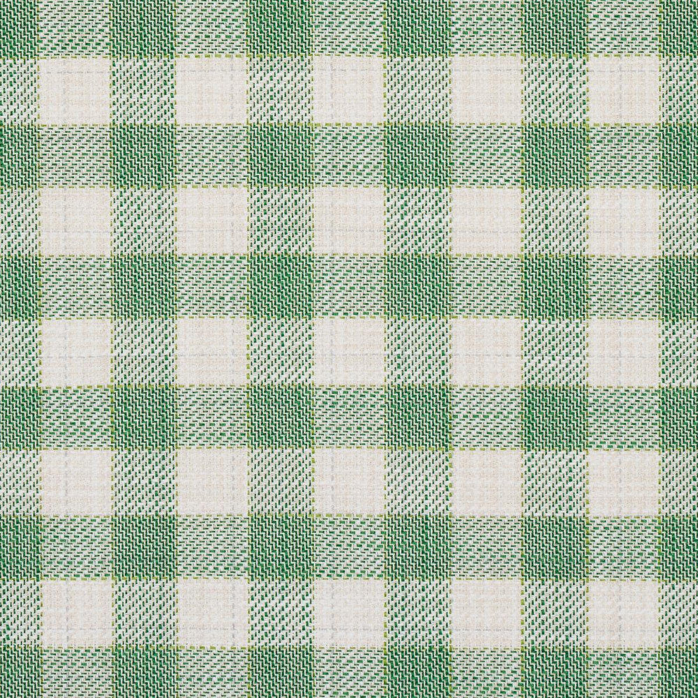 Martina Plaid Indoor/Outdoor Green 81411 by Schumacher Fabric Easy Elements 9.0" - Fabric Carolina -