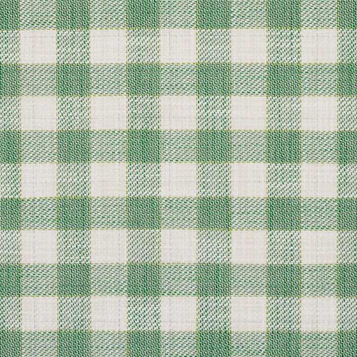 Martina Plaid Indoor/Outdoor Green 81411 by Schumacher Fabric Easy Elements 9.0" - Fabric Carolina -