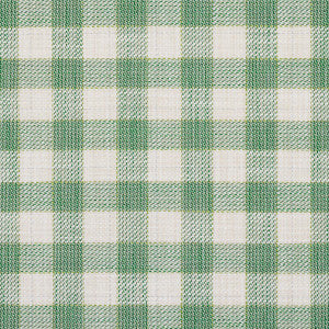 Martina Plaid Indoor/Outdoor Green 81411 by Schumacher Fabric