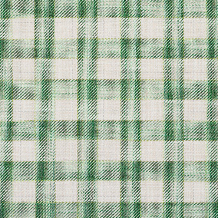 Martina Plaid Indoor/Outdoor Green 81411 by Schumacher Designer Fabric Easy Elements 9.0" - Swanky Fabrics -