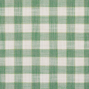 Martina Plaid Indoor/Outdoor Green 81411 by Schumacher Fabric