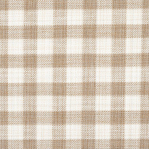 Martina Plaid Indoor/Outdoor Natural 81412 by Schumacher Fabric