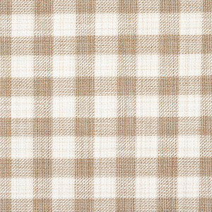 Martina Plaid Indoor/Outdoor Natural 81412 by Schumacher Fabric