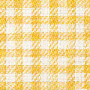 Martina Plaid Indoor/Outdoor Yellow 81413 by Schumacher Fabric