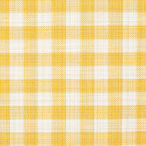 Martina Plaid Indoor/Outdoor Yellow 81413 by Schumacher Fabric