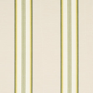 Randolph Stripe Moir Magnolia 81421 by Schumacher Fabric