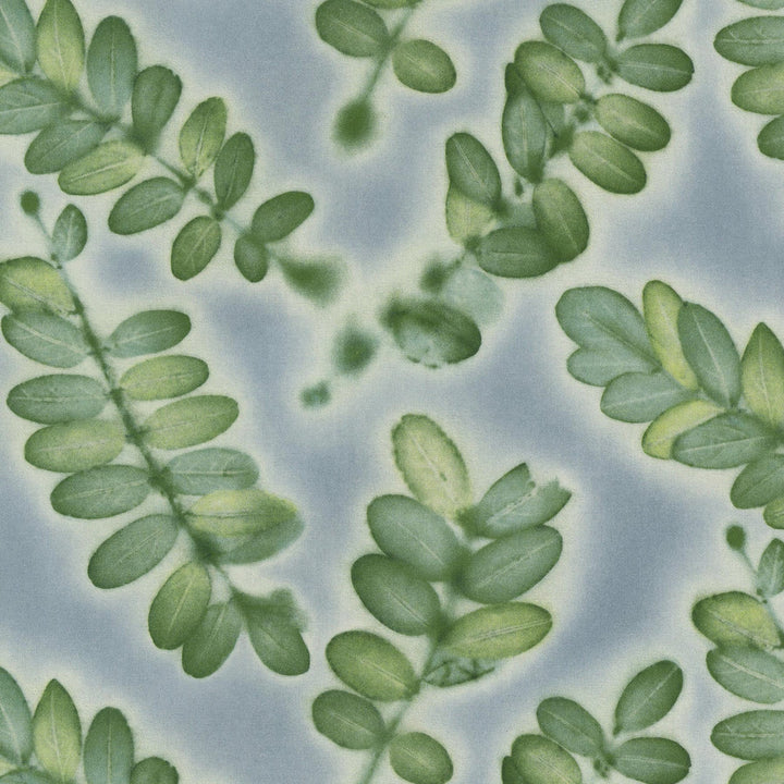 Dreamlike Cloverleaf 682180 by Waverly Fabric - 100% Cotton PERU Horizontal: 13.5 and Vertical: 13.5 54 - Fabric Carolina -