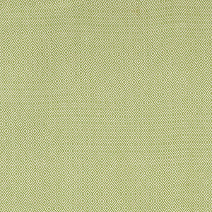 Sofia Diamond Grass 68307 by Schumacher Fabric