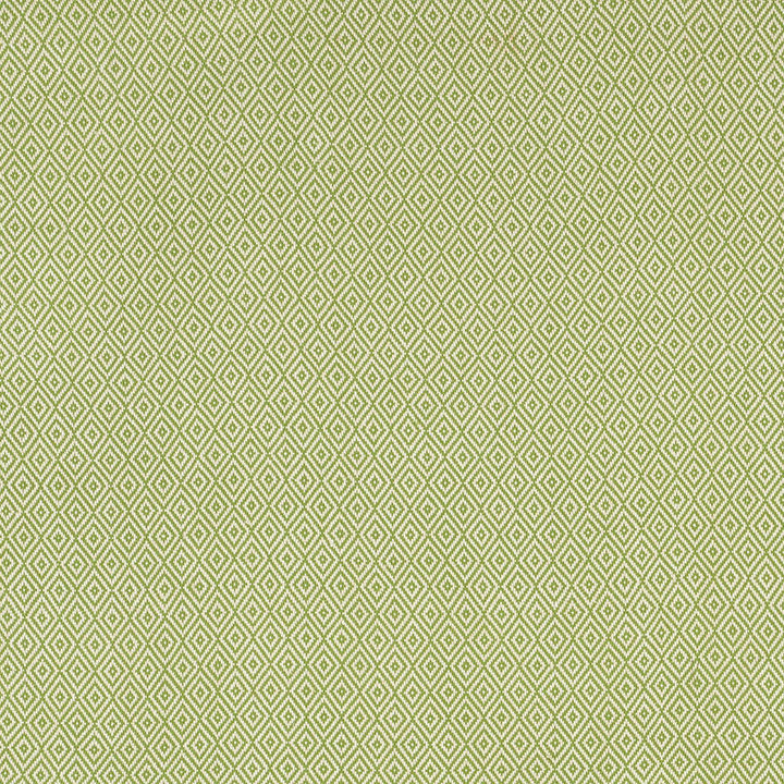 Sofia Diamond Grass 68307 by Schumacher Designer Fabric ESSENTIALS: SMALL-SCALE UPHOLSTERY I See Sample INDIA HEAVY DUTY </p><p>Repeat: Horizontal: 1/2" (1CM) and Vertical: 1 1/2" (4CM) 51 1/4" WIDE (130CM) - Swanky Fabrics -