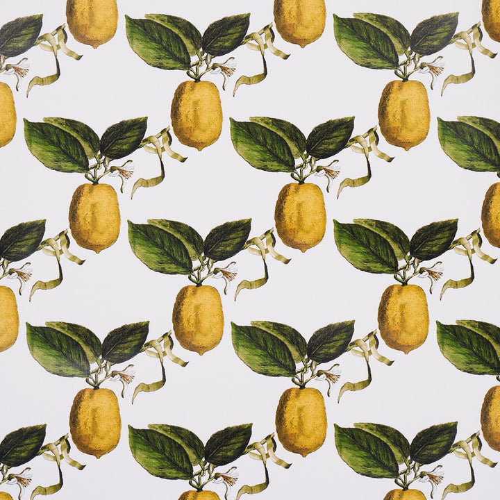 Le Citron Ivory 5014280 by Schumacher Wallpaper Johnson Hartig 10.8" - Fabric Carolina -