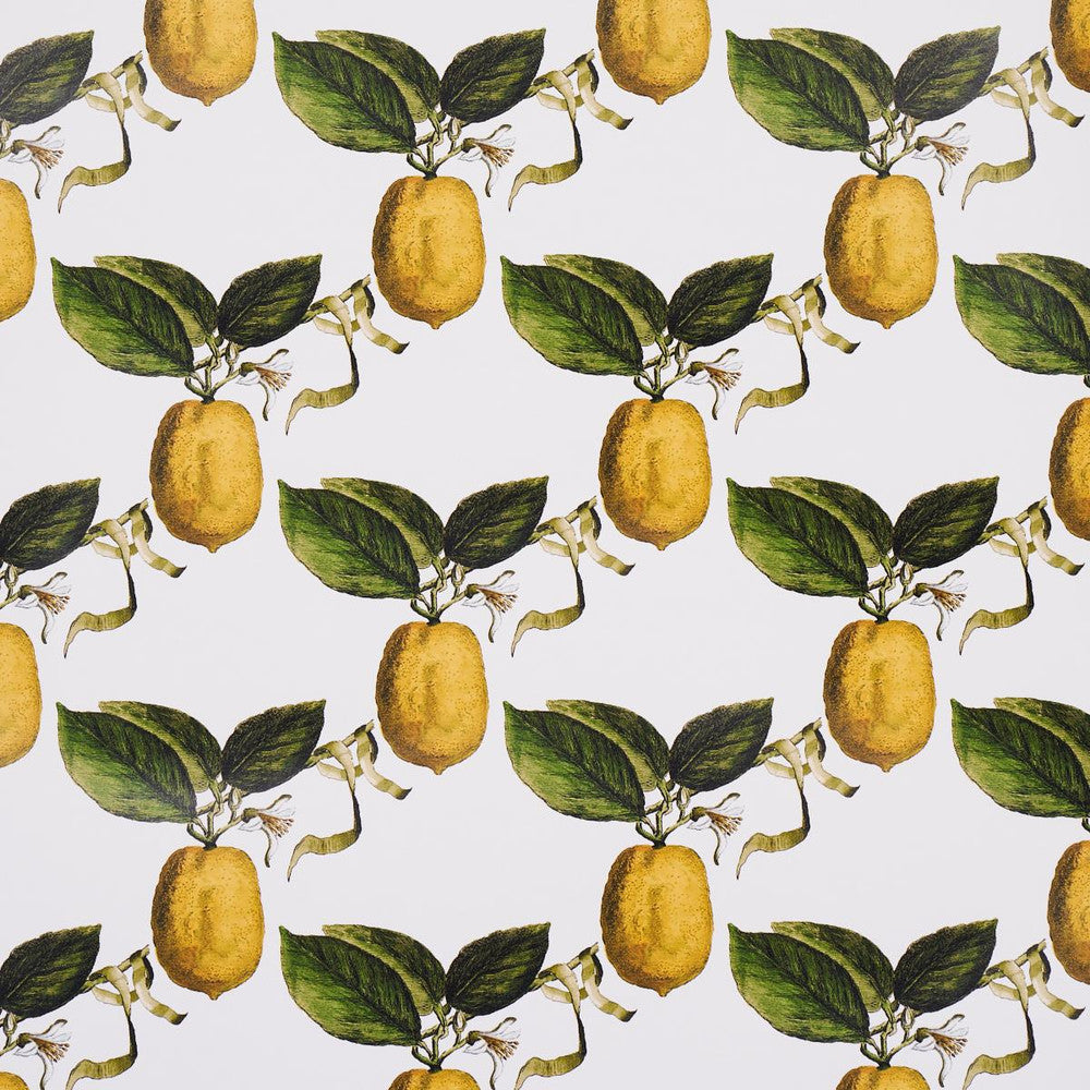 Le Citron Ivory 5014280 by Schumacher Designer Wallpaper Johnson Hartig 10.8" - Swanky Fabrics -