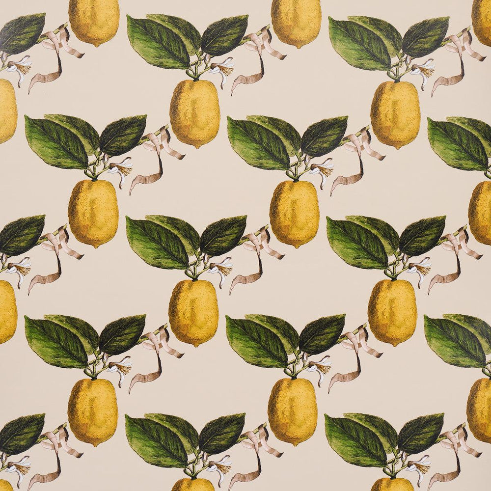 Le Citron Natural 5014282 by Schumacher Wallpaper Johnson Hartig 10.8" - Fabric Carolina -