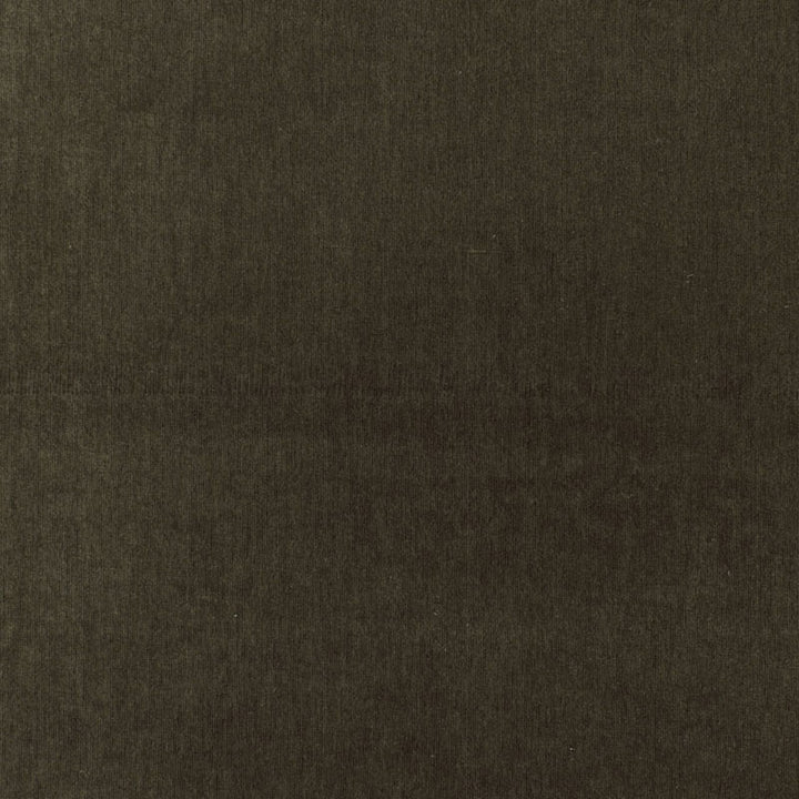 Whistler Velvet Shadow 68364 by Schumacher Fabric CHROMA SP14 See Sample ITALY HEAVY DUTY </p><p>Repeat: Horizontal: - and Vertical: - 55 1/8" WIDE (140CM) - Fabric Carolina -