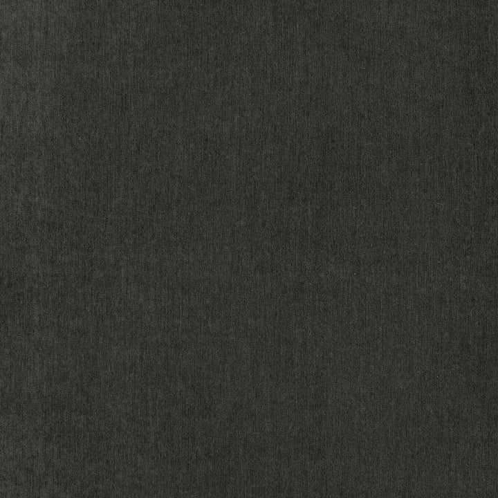 Whistler Velvet Anthracite 68365 by Schumacher Fabric Schumacher Fabric Whistler Velvet Anthracite 68365Fabric COTTON 100% ITALY </p><p>Repeat: H: , V: 55.125 - Fabric Carolina -