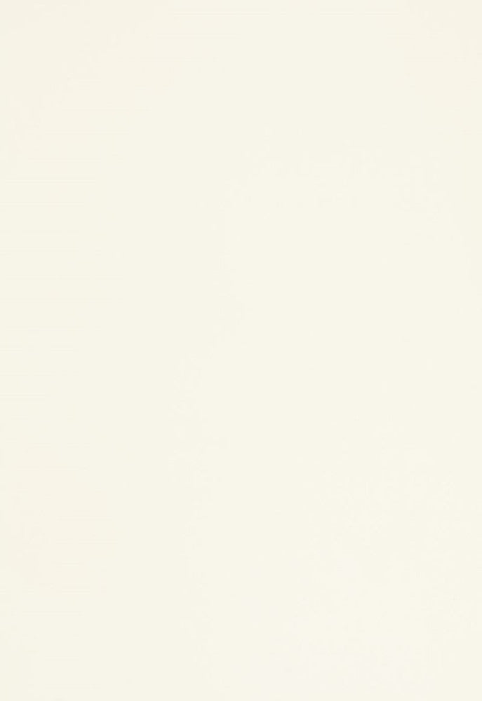 Chester Wool Blanc 68520 by Schumacher Designer Fabric Palette-Wools 80% Wool, 20% Polyamide Martindale 80,000 Horizontal: - and Vertical: - 54 - Swanky Fabrics -