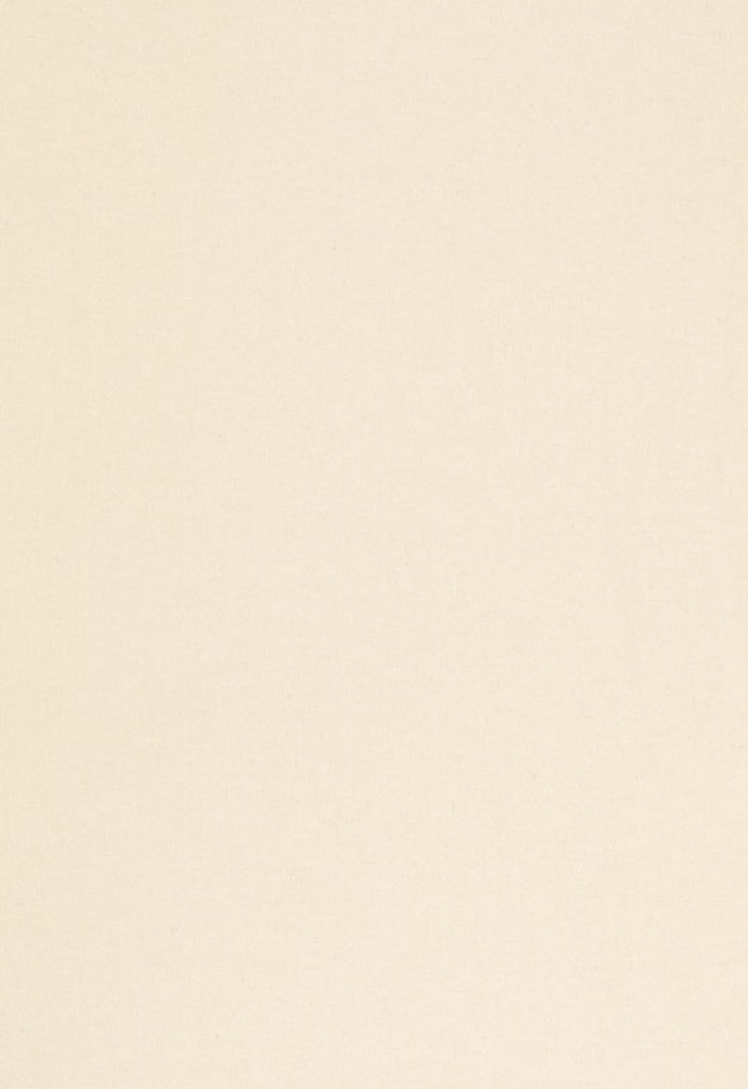 Chester Wool Bisque 68523 by Schumacher Fabric Palette-Wools 80% Wool, 20% Polyamide Martindale 80,000 Horizontal: - and Vertical: - 54 - Fabric Carolina -