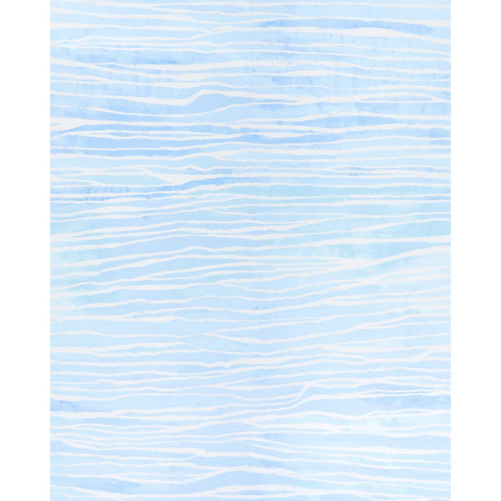 Terra Pacific 5014701 by Schumacher Wallpaper Abel Macias 108.0" - Fabric Carolina -