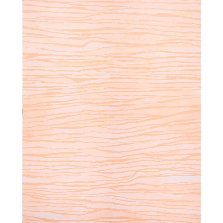 Terra Canyon 5014702 by Schumacher Wallpaper Abel Macias 108.0" - Fabric Carolina -
