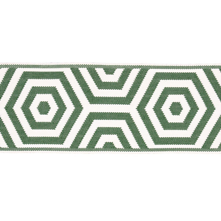 Bees Knees Indoor/Outdoor Tape Green 82451 by Schumacher Trim Mary Mcdonald 5.0" - Fabric Carolina -