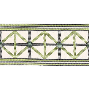 Napoleon Indoor/Outdoor Tape Moss 82461 by Schumacher Trim