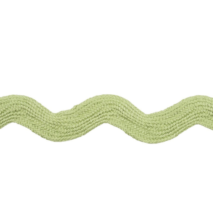 Ric Rac Tape Large Celadon 82722 by Schumacher Trim New Old-Fashioned - Fabric Carolina -