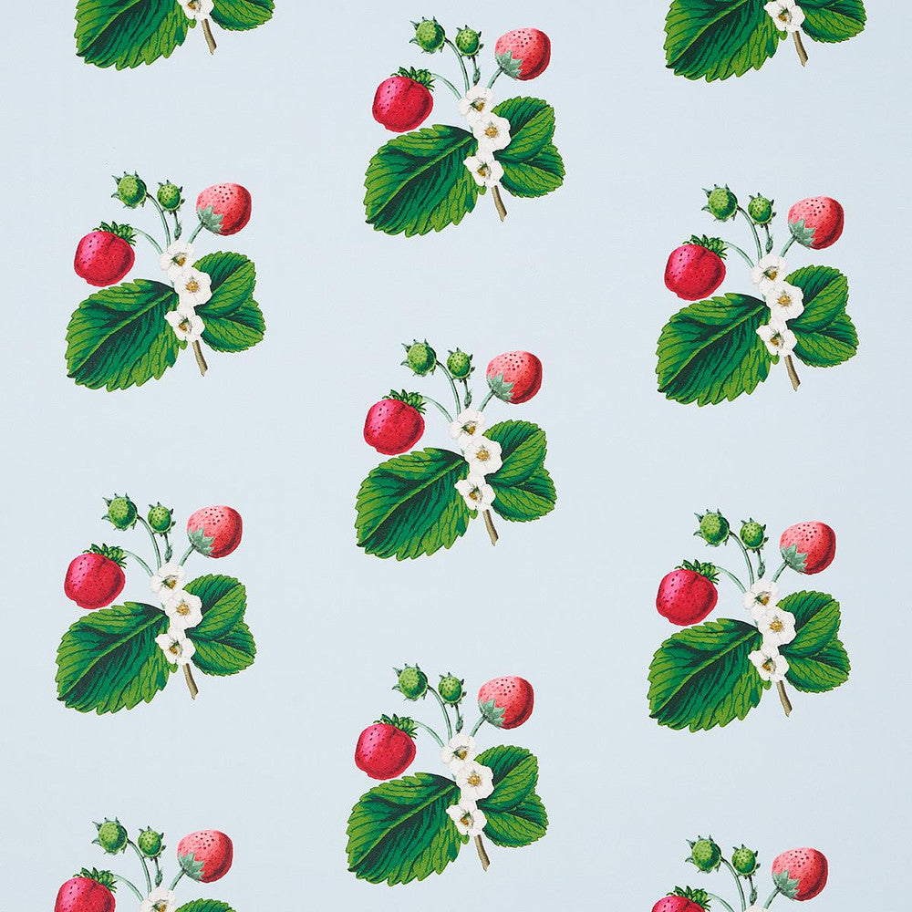 Strawberry Hill Blue 5014321 by Schumacher Wallpaper Johnson Hartig 6.88" - Fabric Carolina -