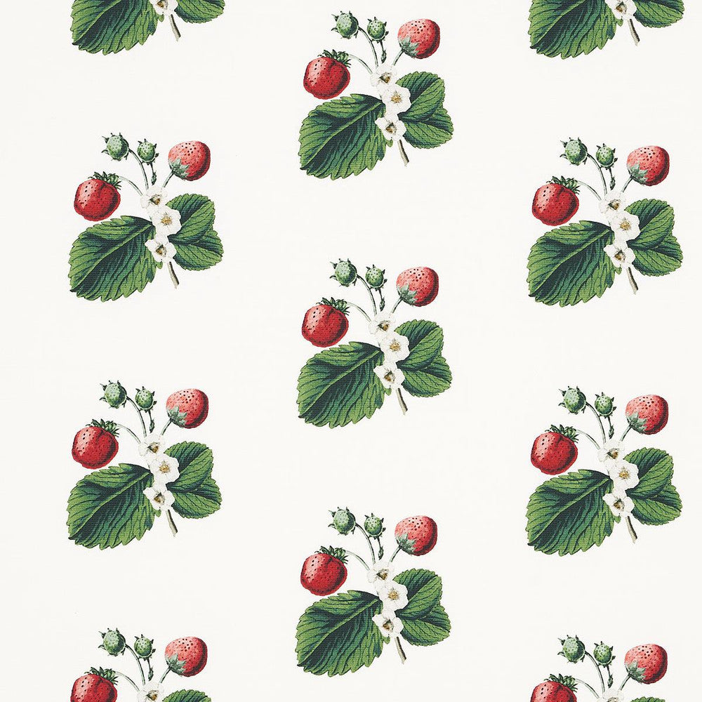 Strawberry Hill White 180640 by Schumacher Fabric Johnson Hartig - Fabric Carolina -