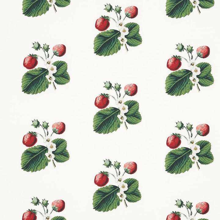 Strawberry Hill White 180640 by Schumacher Fabric Johnson Hartig - Fabric Carolina -