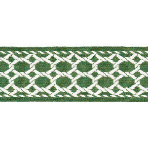 Lattice Indoor/Outdoor Tape Green 82822 by Schumacher Trim